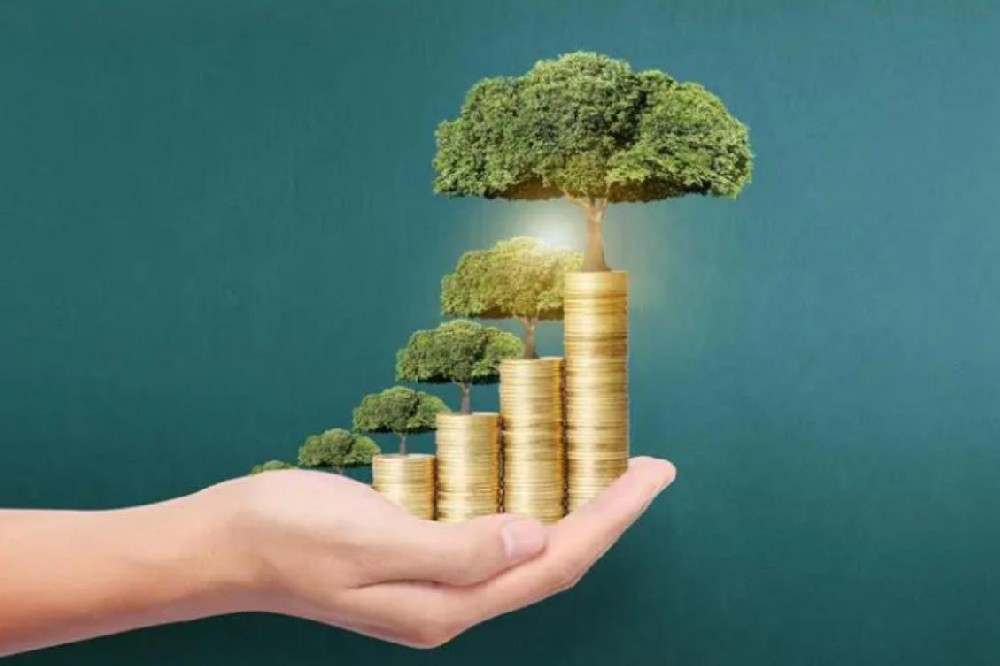 民间个人短借·重庆24小时私人借钱 空放直达 当天放款